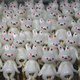 Image for article titled Japanese Candy Art is Just Precious